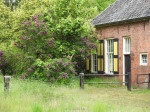 Het Wegdam